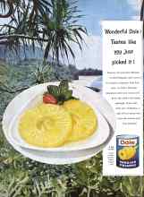 Better Homes & Gardens August 1960 Magazine Article: Page 104