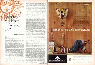 Better Homes & Gardens August 1960 Magazine Article: Page 18