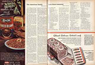 Better Homes & Gardens August 1960 Magazine Article: Page 68