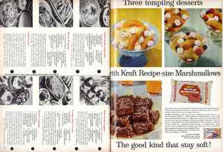 Better Homes & Gardens August 1960 Magazine Article: Page 74