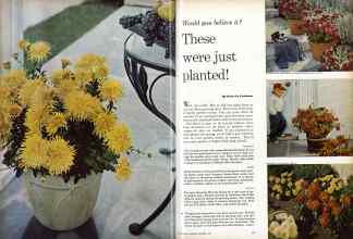 Better Homes & Gardens September 1960 Magazine Article: Article