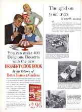 Better Homes & Gardens October 1960 Magazine Article: The gold on your trees is worth money