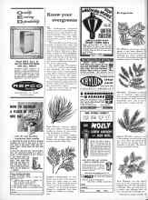 Better Homes & Gardens October 1960 Magazine Article: Know your evergreens