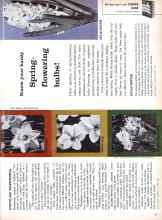 Better Homes & Gardens October 1960 Magazine Article: Know your hardy Spring-flowering bulbs!