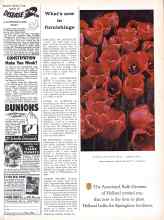 Better Homes & Gardens October 1960 Magazine Article: What's new in furnishings