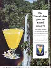 Better Homes & Gardens October 1960 Magazine Article: Page 168