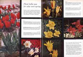 Better Homes & Gardens October 1960 Magazine Article: Page 66