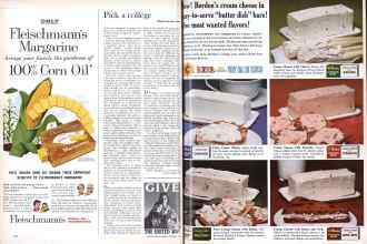 Better Homes & Gardens October 1960 Magazine Article: Page 108