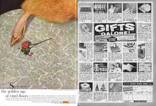 Better Homes & Gardens November 1960 Magazine Article: Page 2