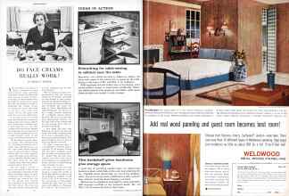 Better Homes & Gardens November 1960 Magazine Article: Page 38