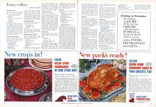 Better Homes & Gardens November 1960 Magazine Article: Page 78