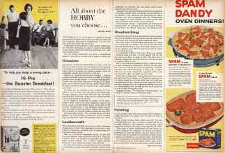 Better Homes & Gardens November 1960 Magazine Article: All about the HOBBY you choose...