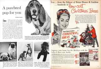 Better Homes & Gardens November 1960 Magazine Article: Page 114