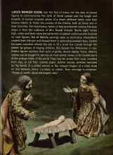 Better Homes & Gardens December 1960 Magazine Article: WHAT'S ON THE TREE?