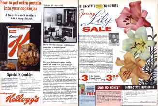 Better Homes & Gardens February 1961 Magazine Article: Page 28