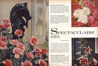 Better Homes & Gardens February 1961 Magazine Article: Page 50