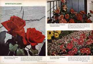 Better Homes & Gardens February 1961 Magazine Article: Page 52