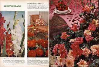 Better Homes & Gardens February 1961 Magazine Article: Page 54