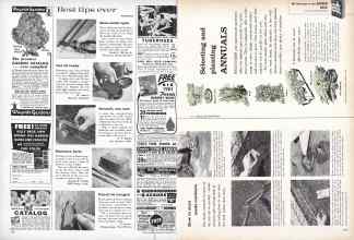 Better Homes & Gardens February 1961 Magazine Article: Page 128