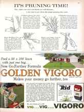 Better Homes & Gardens March 1961 Magazine Article: IT'S PRUNING TIME!