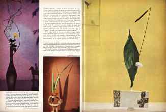 Better Homes & Gardens March 1961 Magazine Article: Page 46