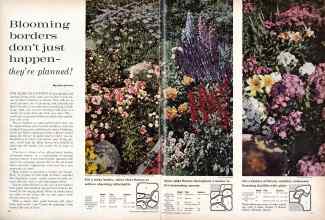 Better Homes & Gardens March 1961 Magazine Article: Blooming borders don't just happen-they're planned!