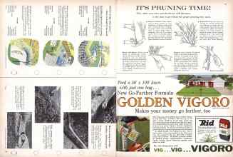 Better Homes & Gardens March 1961 Magazine Article: Page 126