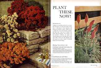 Better Homes & Gardens April 1961 Magazine Article: Page 56