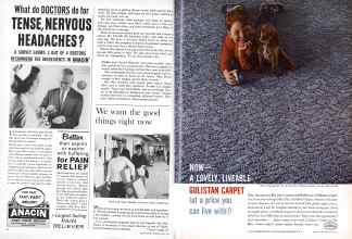 Better Homes & Gardens May 1961 Magazine Article: Page 16