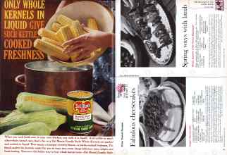 Better Homes & Gardens May 1961 Magazine Article: Page 102