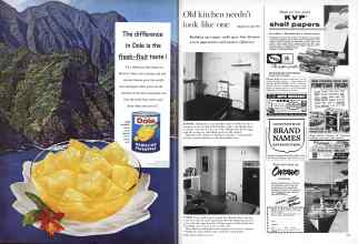 Better Homes & Gardens May 1961 Magazine Article: Page 106