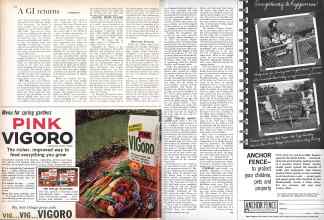 Better Homes & Gardens May 1961 Magazine Article: Page 142