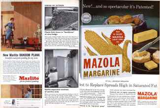 Better Homes & Gardens June 1961 Magazine Article: Page 18