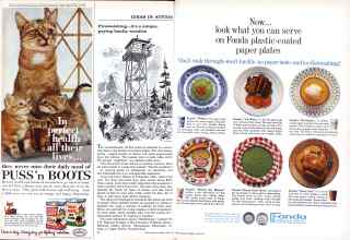 Better Homes & Gardens June 1961 Magazine Article: Page 22