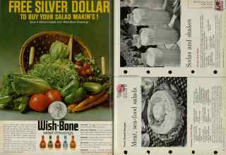 Better Homes & Gardens July 1961 Magazine Article: Page 74