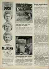 Better Homes & Gardens August 1961 Magazine Article: Translucent plastic panels for garden gates