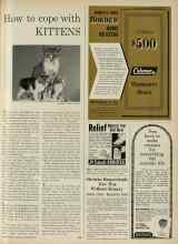 Better Homes & Gardens September 1961 Magazine Article: How to cope with KITTENS