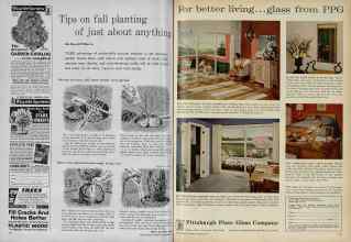Better Homes & Gardens September 1961 Magazine Article: Page 118
