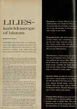 Better Homes & Gardens October 1961 Magazine Article: LILIES-- kaleidoscope of bloom