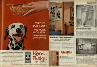 Better Homes & Gardens October 1961 Magazine Article: Page 29