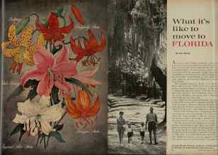 Better Homes & Gardens October 1961 Magazine Article: Page 65