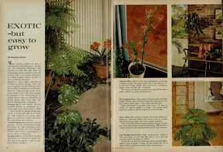 Better Homes & Gardens November 1961 Magazine Article: Page 40