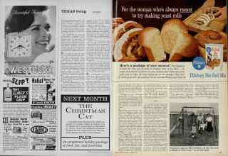 Better Homes & Gardens November 1961 Magazine Article: Page 102