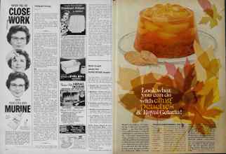 Better Homes & Gardens November 1961 Magazine Article: Page 106