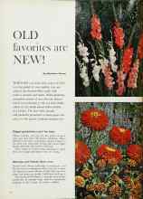 Better Homes & Gardens January 1962 Magazine Article: OLD favorites are NEW!