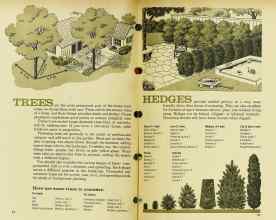 Better Homes & Gardens January 1962 Magazine Article: Page 56