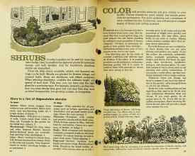 Better Homes & Gardens January 1962 Magazine Article: Page 58