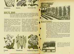 Better Homes & Gardens January 1962 Magazine Article: Page 60