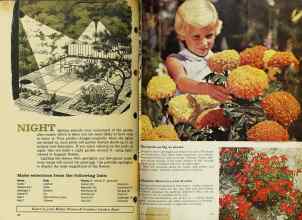 Better Homes & Gardens January 1962 Magazine Article: Page 62