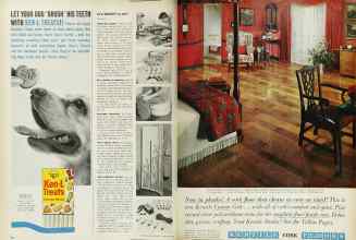 Better Homes & Gardens February 1962 Magazine Article: Page 38